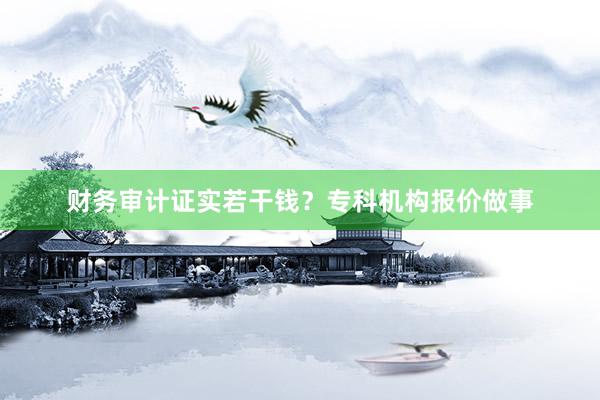 财务审计证实若干钱？专科机构报价做事