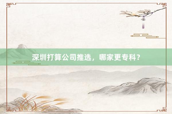 深圳打算公司推选，哪家更专科？