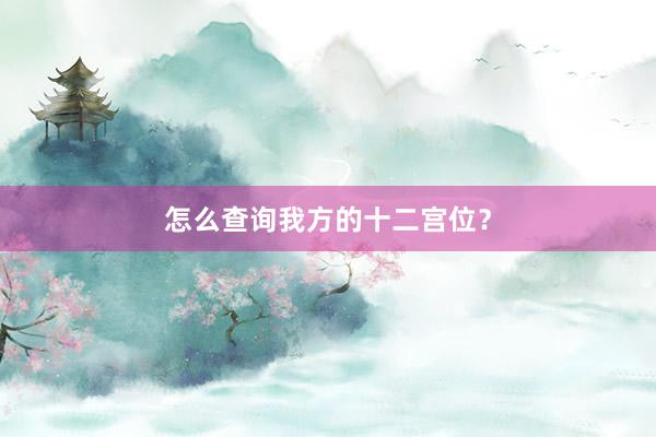 怎么查询我方的十二宫位？