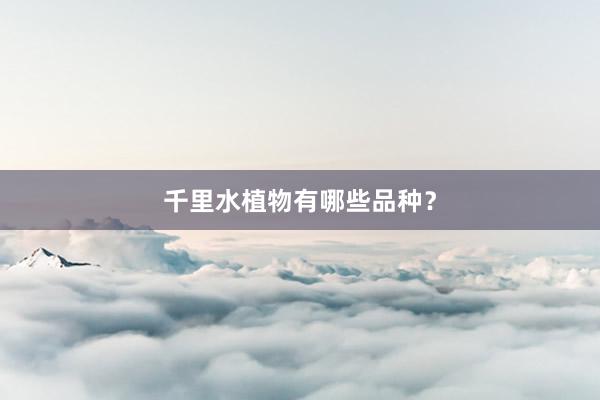 千里水植物有哪些品种？