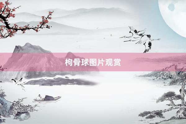 枸骨球图片观赏